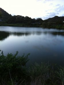 千葉県　野池　ブラックバス釣行