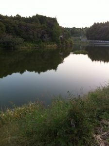 茨城県　野池　バス釣り
