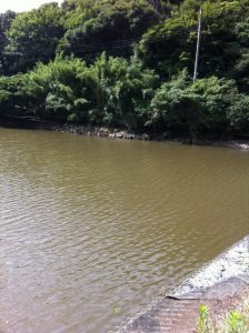 千葉県　野池　ブラックバス釣行